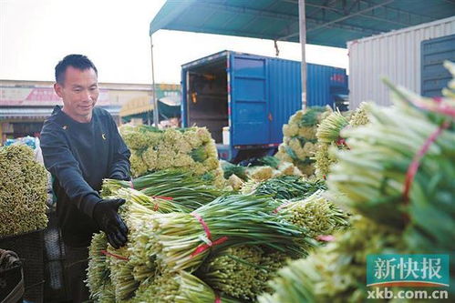 佛山南海建成消費(fèi)幫扶黔貨入粵集散地 助推食品經(jīng)營升級